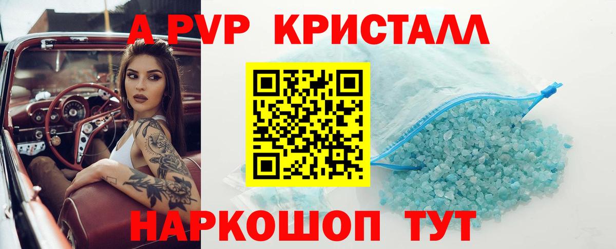 A-PVP СК Сосновый Бор