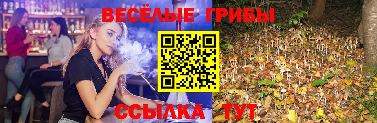 купить наркоту  Вход с VPN  Сосновый Бор  Псилоцибиновые грибы мухоморы 