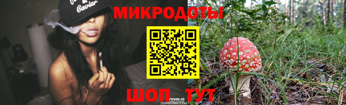 Псилоцибиновые грибы мухоморы Сосновый Бор