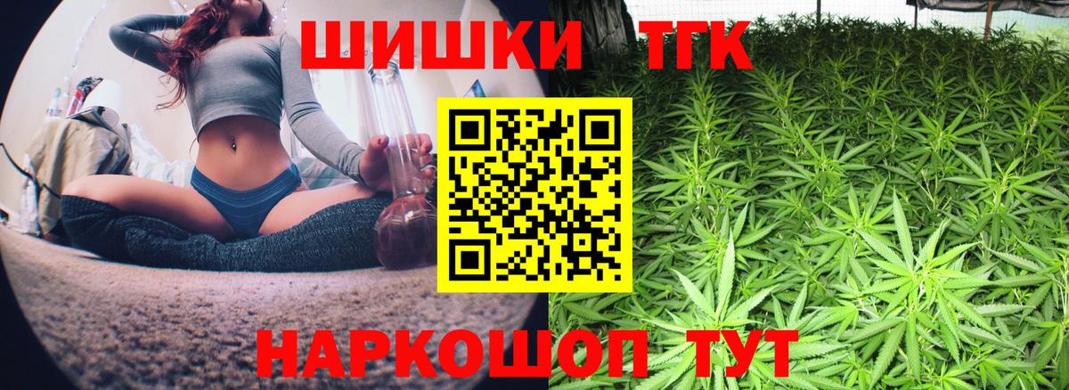 Каннабис MAZAR Сосновый Бор